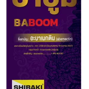 บาบูม (BABOOM)