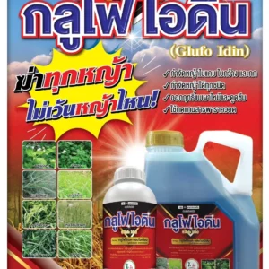 กลูโฟ ไอดิน