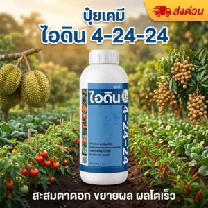 ขวดปุ๋ยน้ำเคมี ไอดิน 4-24-24 ขนาด 1 ลิตร N 4% - P2O5 24% - K2O 24%
